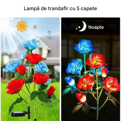 Set 2 X Lampi Solare Trandafir Cu 5 Flori LED, Senzor Lumina Automat, Rezistente La Apa, Decor Gradina Exterior, Diverse Culori